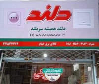 تابلو فلکسی دلند الکتریک